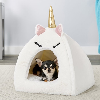 E-Comm: Just 21 Cute Things to Celebrate National Puppy Day